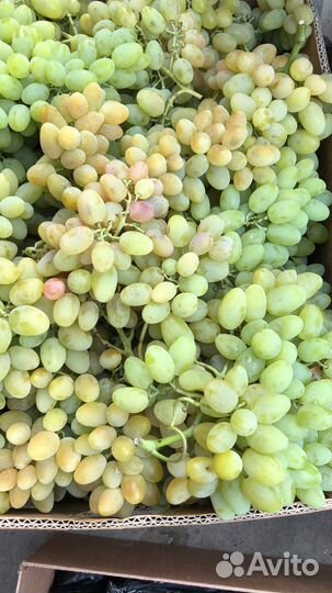 Виноград оптом