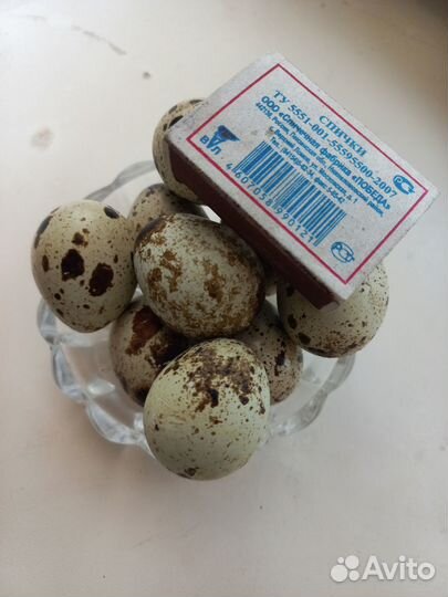 Домашние перепелиные яйца