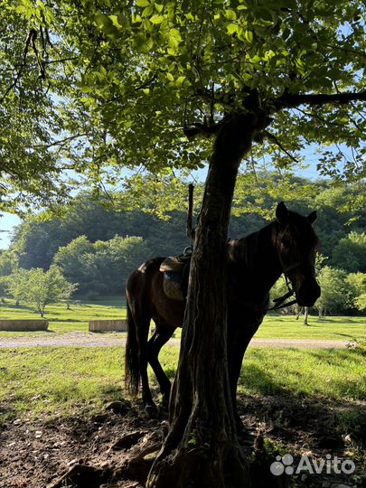 Ночь в горах * Пик Бзерпи * 2482 м