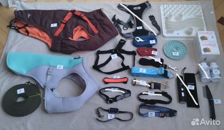 Амуниция для собак