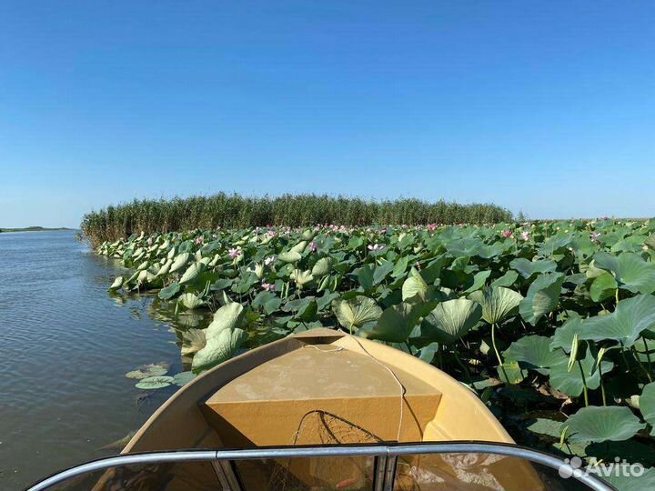 Егерь,Гид,Рыбалка на катере, Лотосы,Аренда катера