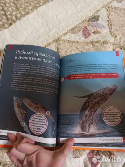 Ульева Умная энциклопедия