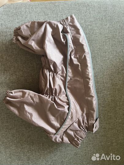 Одежда для собак