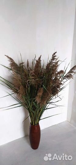 Сухоцветы для декора и магии