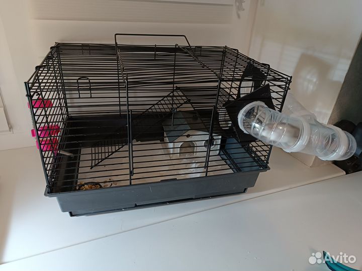 Хомяк с клеткой