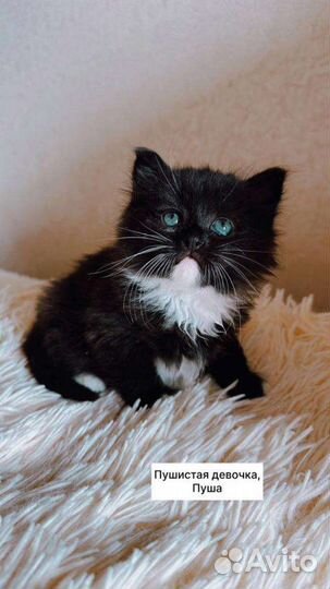 Маленькая девочка