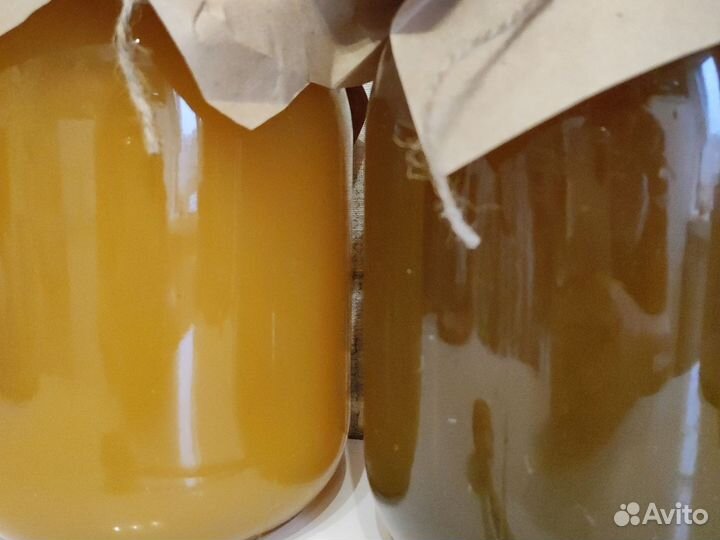 Мёд с личной пасеки 2023