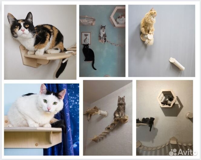 Аксессуары для кошек настенные
