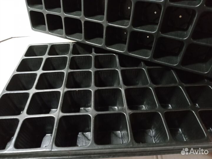 Кассета для рассады 50-израиль