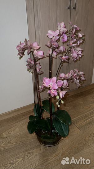 Орхидея искусственная премиум качества 80см