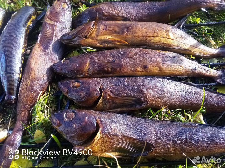 Рыбка, грудинка, курочка горячего копчения