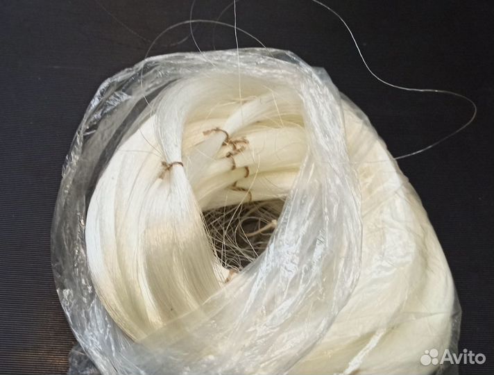 Леска рыболовная