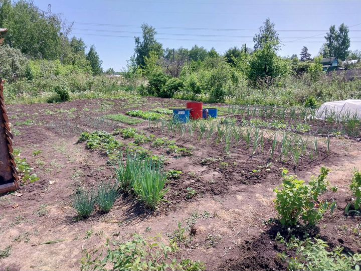 Участок 3 сот. (СНТ, ДНП)