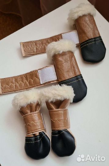 Обувь для маленьких собак