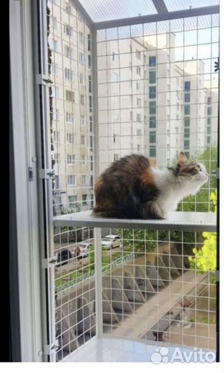 Балкончик для выгула кошки