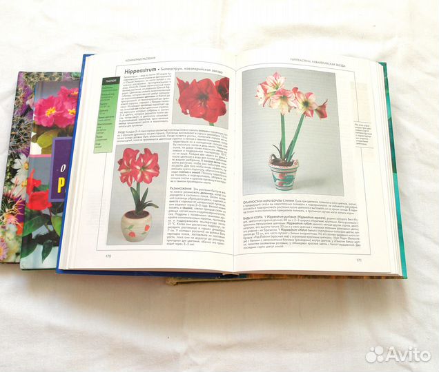 Книги о Комнатных растениях