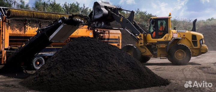 Чернозем сочный/ мощный