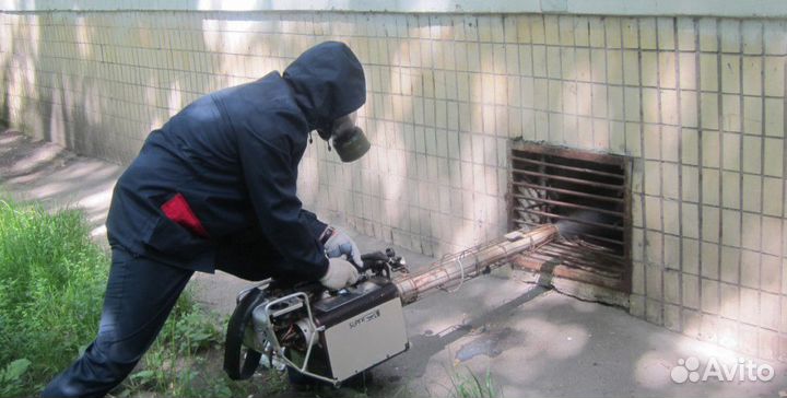 Уничтожение грызунов. Дератизация