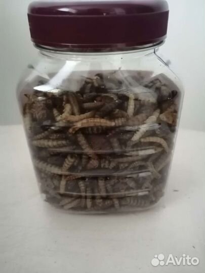 Корм для грызунов