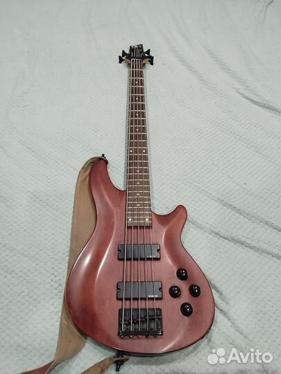 Schecter omen 5 wsn