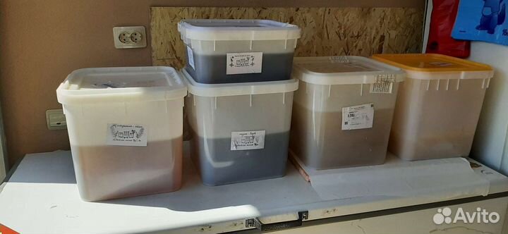 Алтайские меда 2023