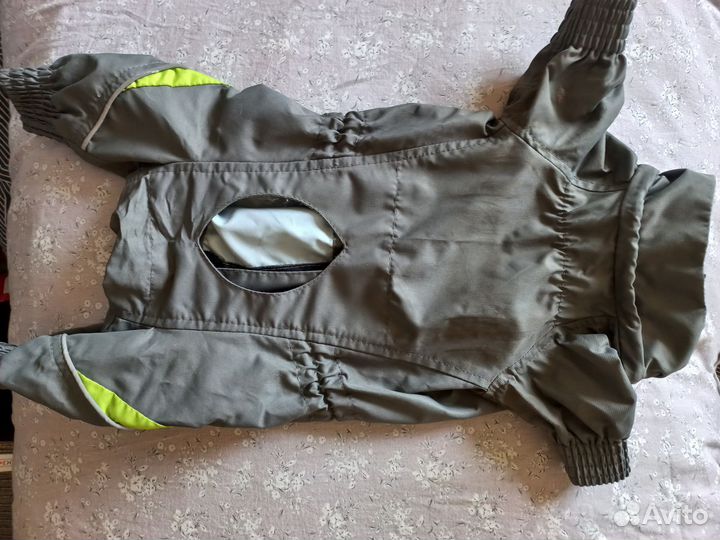 Комбинезон для маленькой собаки, мальчик