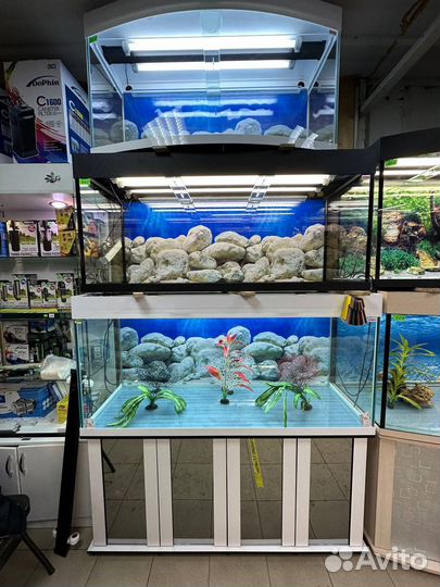 Аквариум