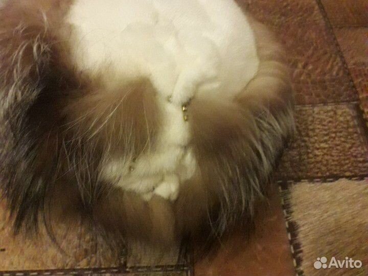 Шапка канада мех нат. р.58 62 торг