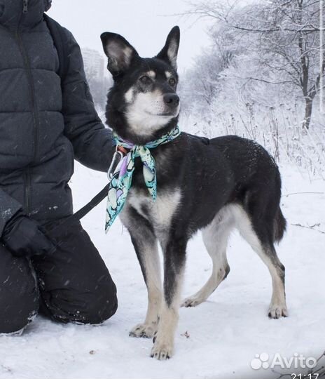 7-летний социальный Джоник надеется найти семью