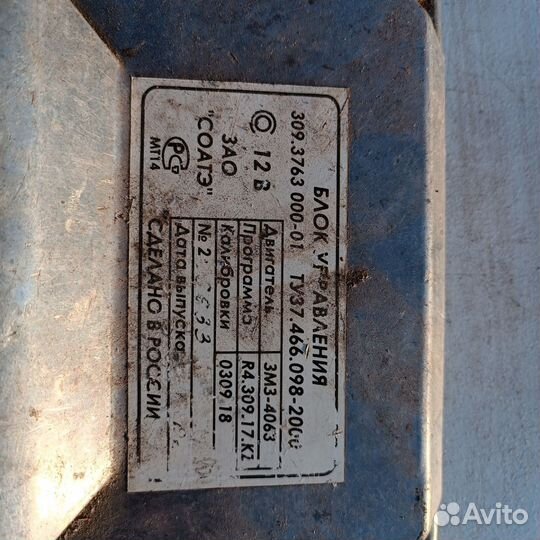 Мозги Эбу на газель