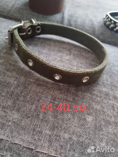 Ошейники для собак