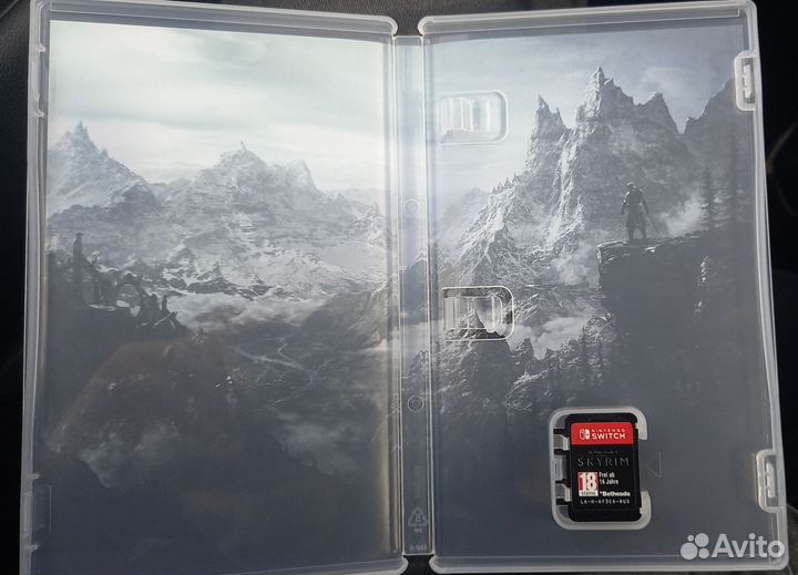 Skyrim nintendo switch