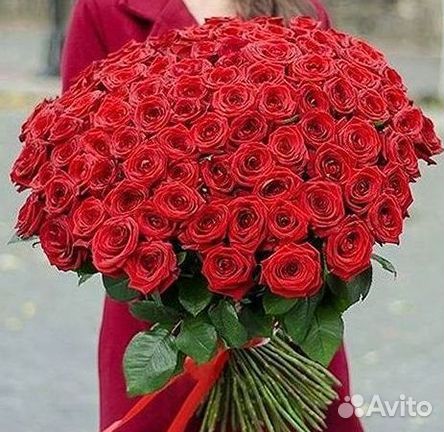 Розы гиганты 140 150 160 170 180 200