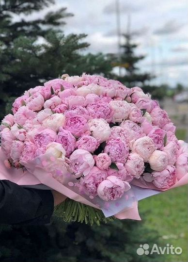Пионы Букет пионов Доставка цветов