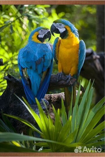 Электрообогреватель настенный до 