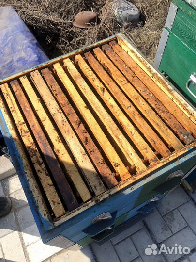 Продам ульи для пчел