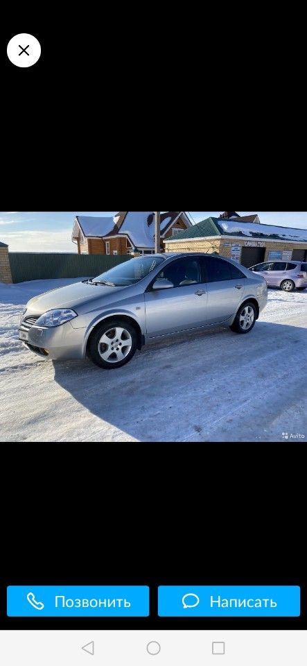 Nissan Primera: фото владельца