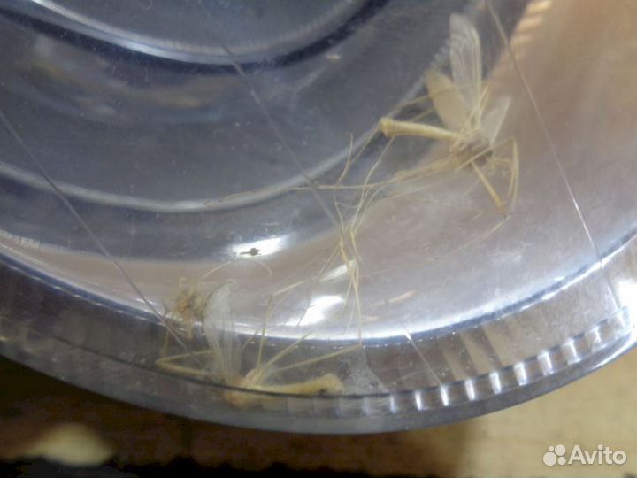 Фары Mercedes Benz w203 купе