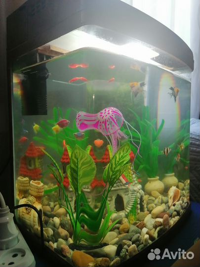 Аквариум