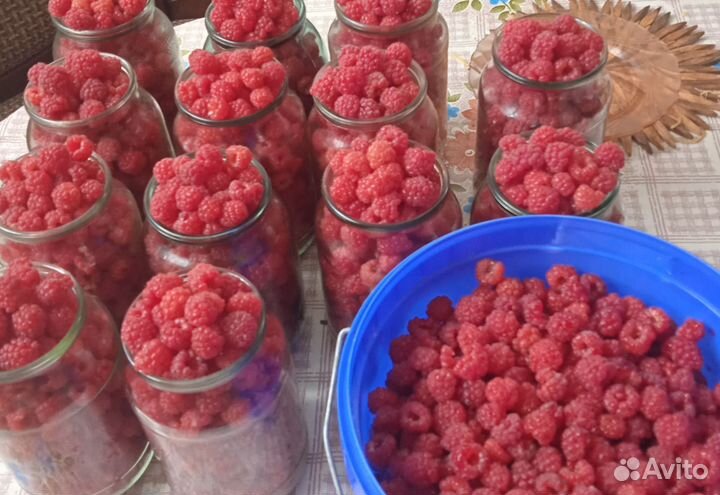 Малина, крыжовник, абрикос, смородина золотистая