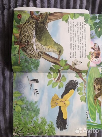 Книги для детей