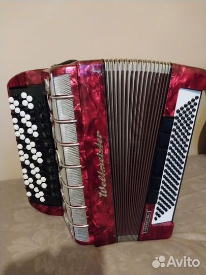 Баян weltmeister grandina