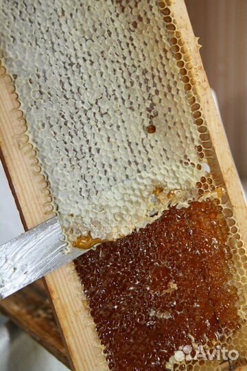 Мед натуральный
