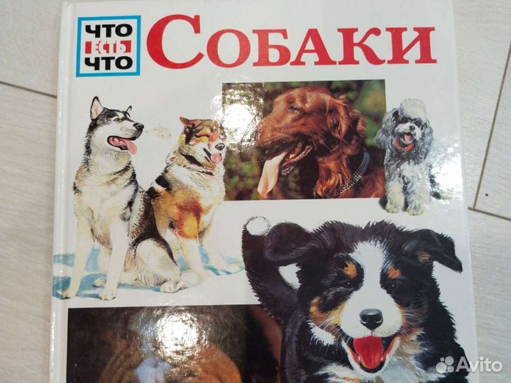 Книги про собак