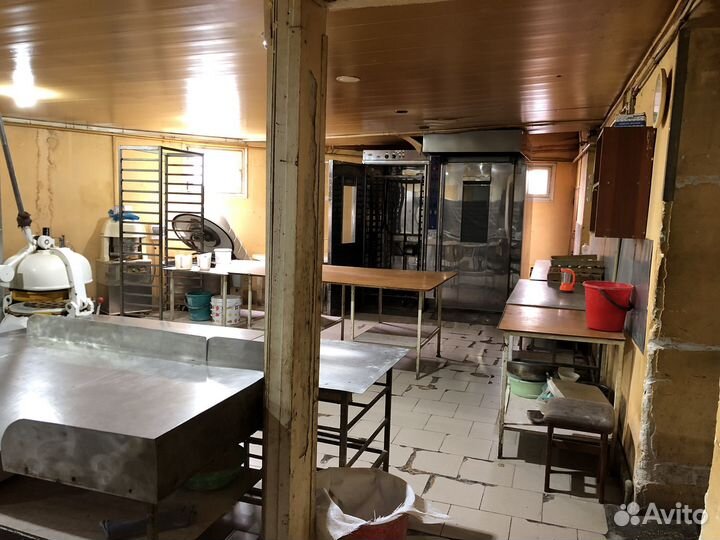 Сдаю в аренду