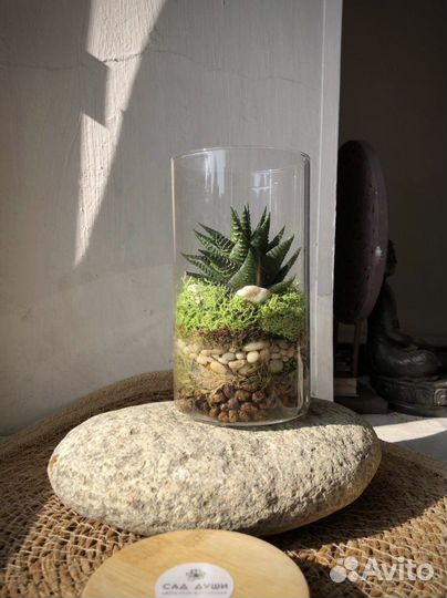 Флорариум «Крошка»