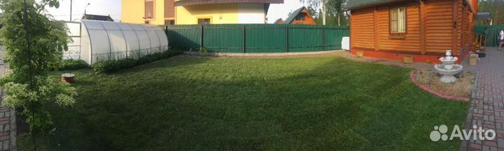 Рулонный газон/продажа/укладка