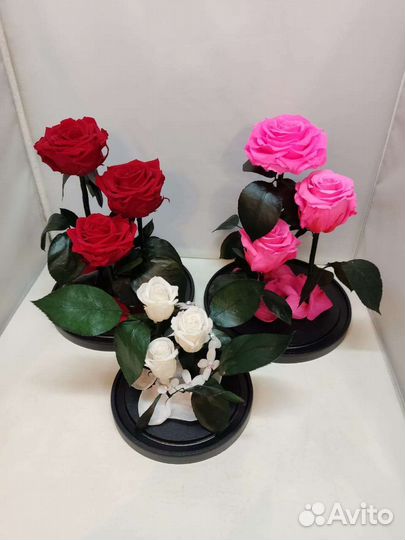 Роза в колбе