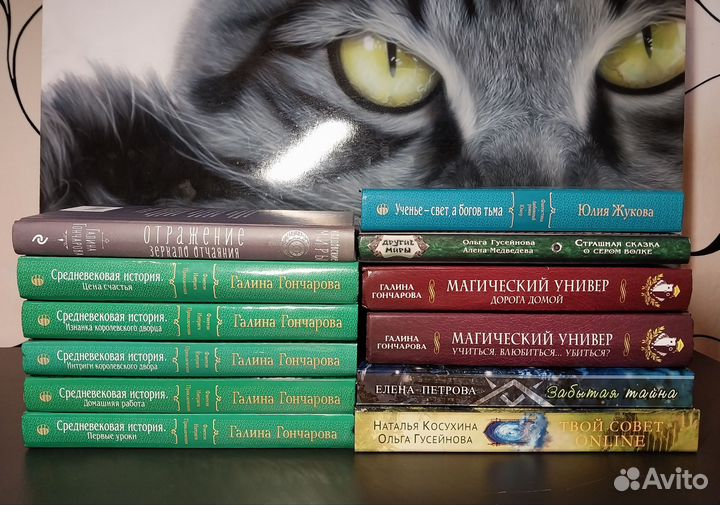 Книга фентези фантастика Гончарова, А. Лисина и др