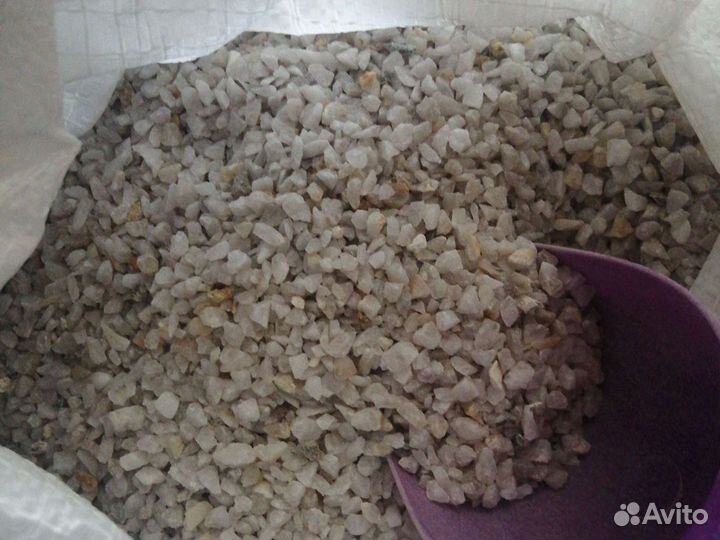 Аквариумные рыбки